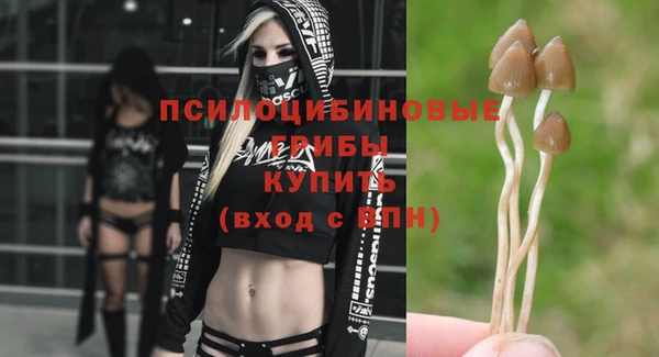ПСИЛОЦИБИНОВЫЕ ГРИБЫ Дмитров