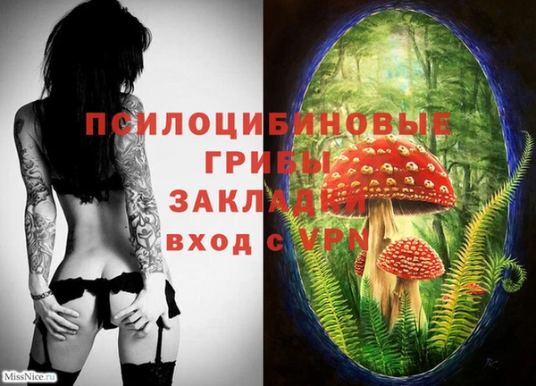 гидра Дмитриев