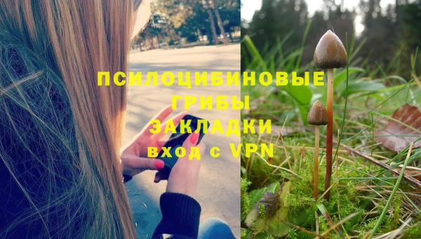 ПСИЛОЦИБИНОВЫЕ ГРИБЫ Дмитров