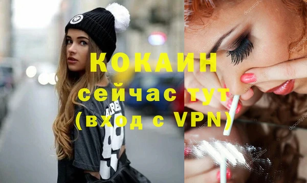 гидра Дмитриев