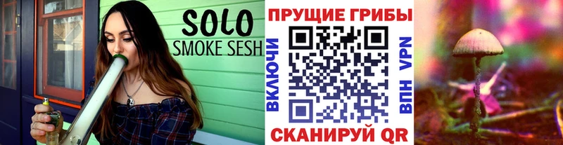 цены   Котельнич  Галлюциногенные грибы Cubensis 