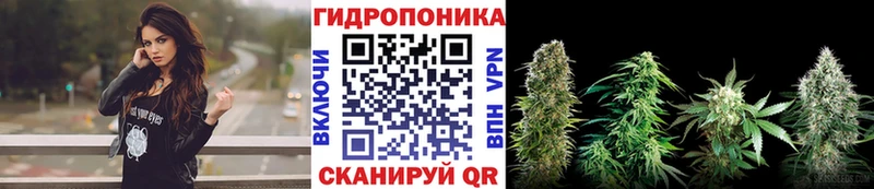 Шишки марихуана OG Kush  дарк нет телеграм  Котельнич 